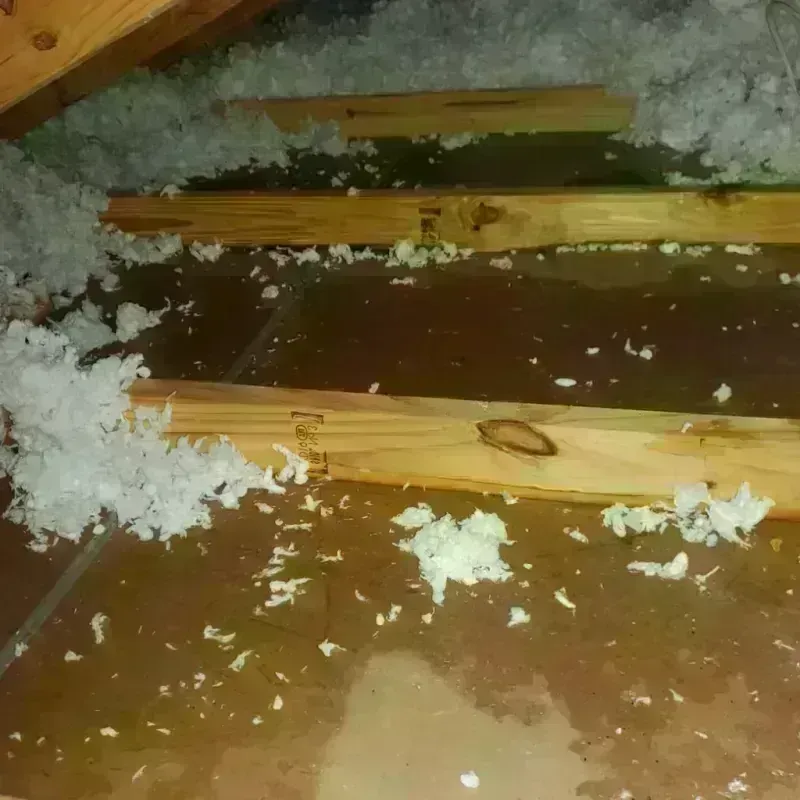 Attic Water Damage in Westhampton, MA